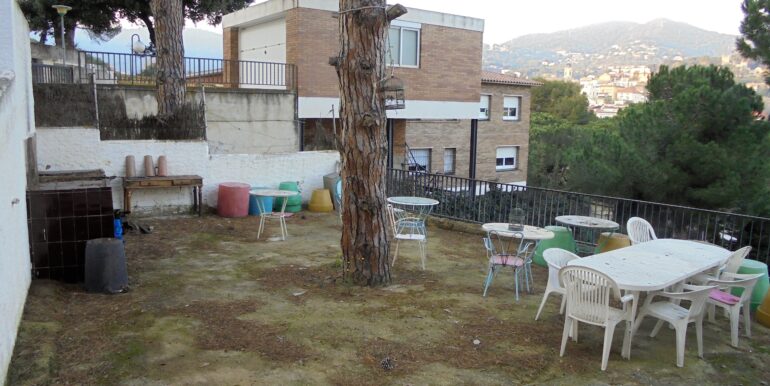 DSC00951